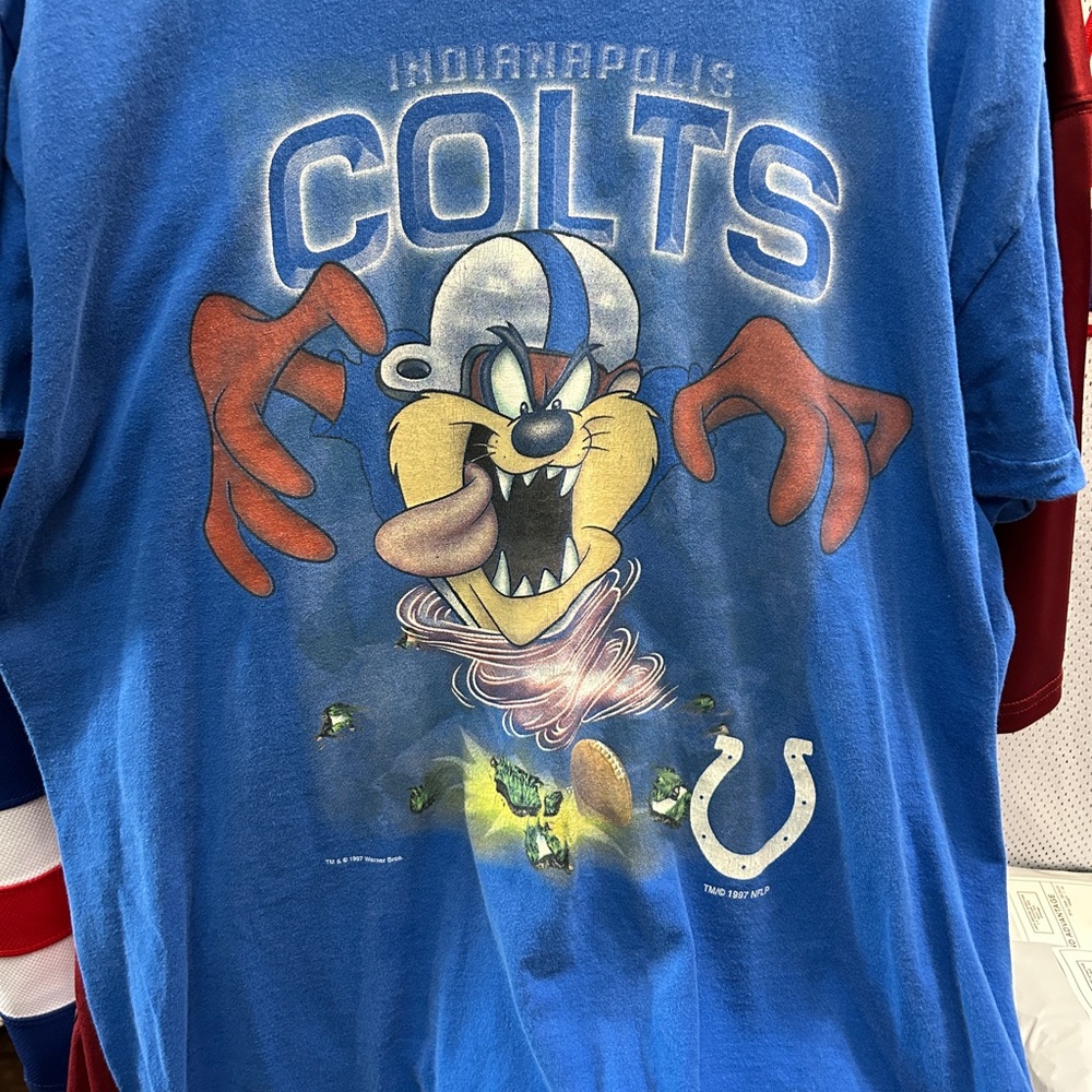Fruit of the Loom Blue Graphic Tee